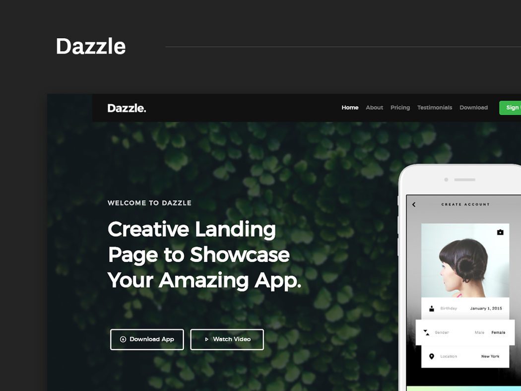 Free Website Template - Dazzle